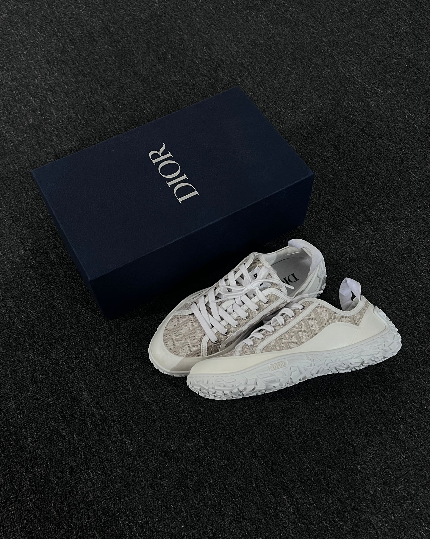 Dior B28 Oblique Sneakers