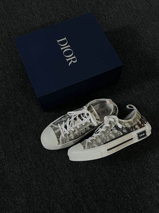 Dior Oblique Logo B23 Low Cut Snearks